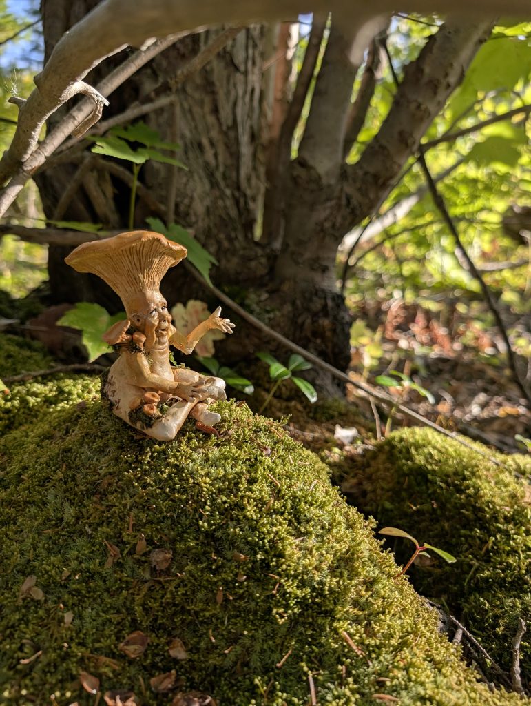 A mossy, sunlit forest scene that glows with many shades of green. A cozy tangle of forest floor twigs and roots. In the foreground a hand sculpted, cheerful chanterelle with a smiling elf face and welcoming hand outstretched sits on the soft moss soft 