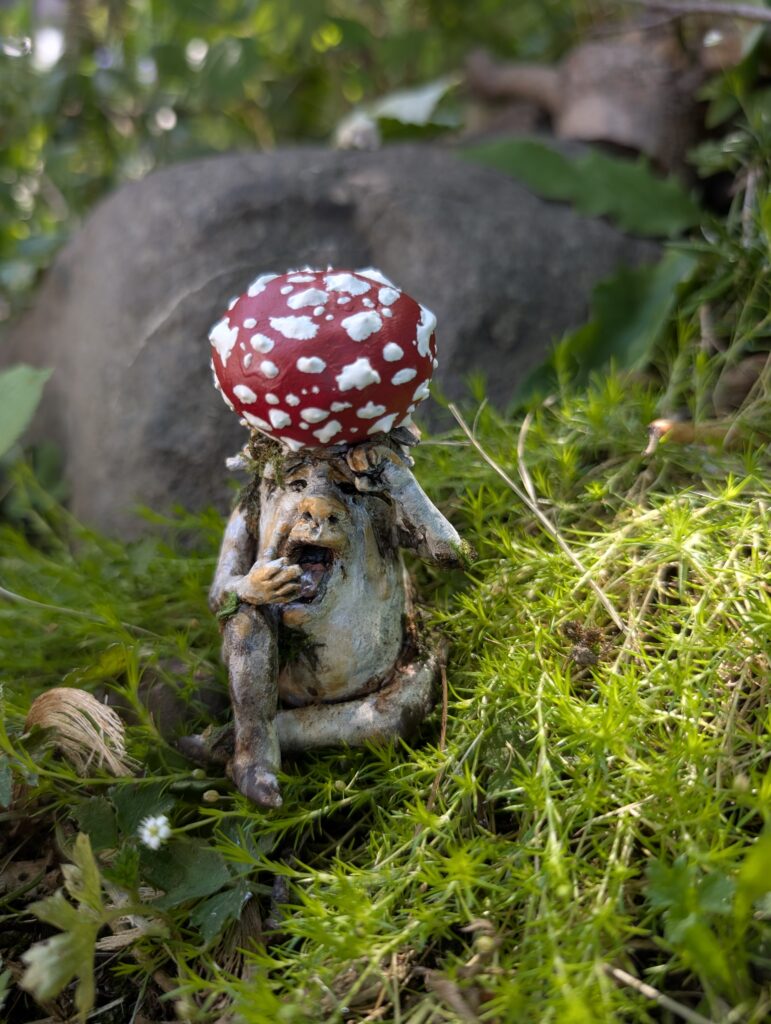 Blinky the Amanita Mushroom