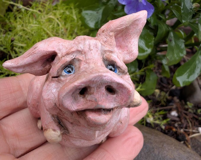 Poppy the pink pig