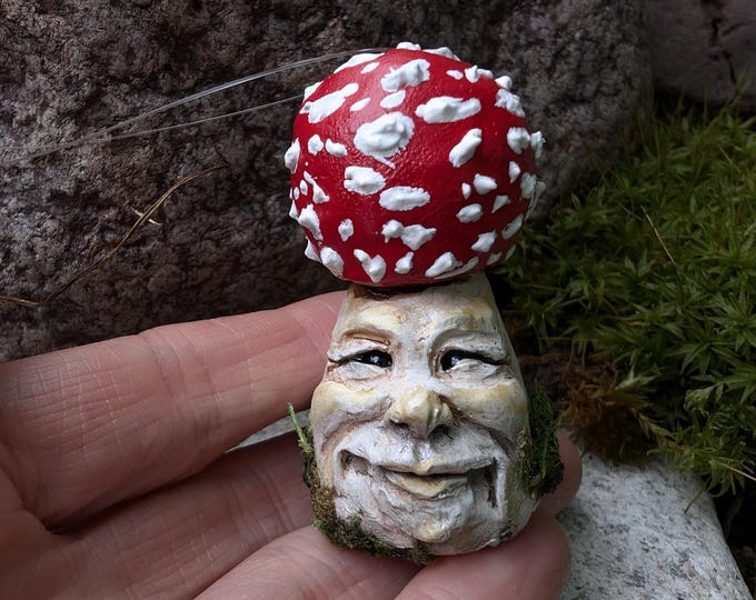 Amanita Muscaria