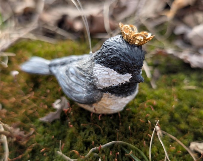 Deedee the Chickadee