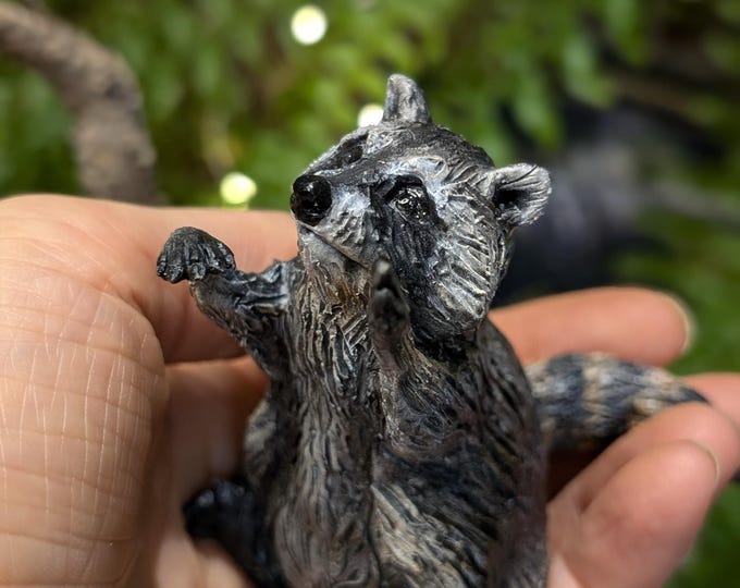 Tictac the Raccoon