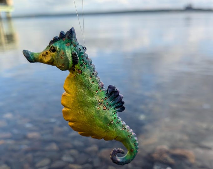 Seahorse