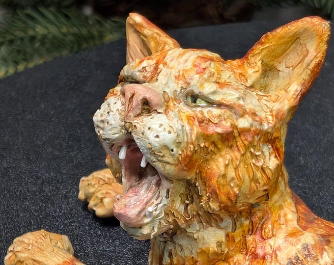 Chatty the Cat