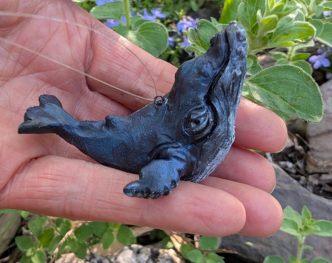 Wee Humpback