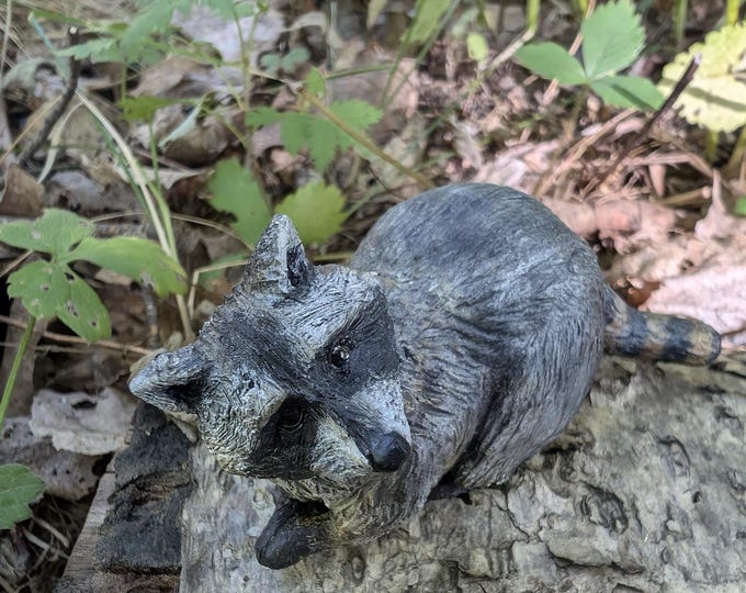 Gimbal the Raccoon