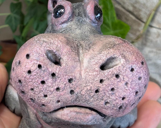 Hippopotamus