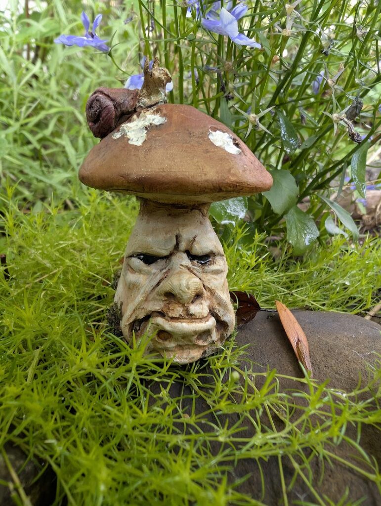 Cranky Boletus named Jeremy