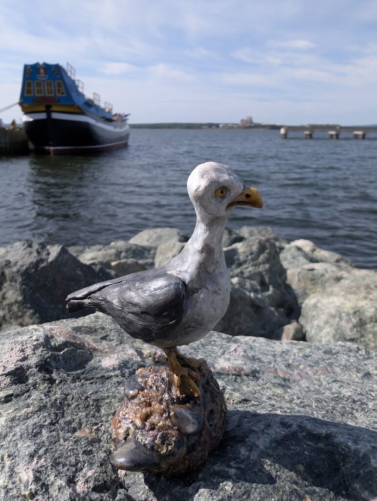 Frank the Seagull